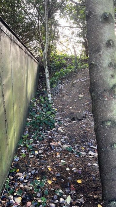 Narrow pathway between a wall and trees, covered in leaves.